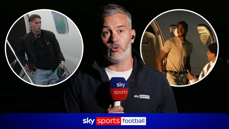 Newcastle and Sunderland Announce Dedic and Methalie Signings