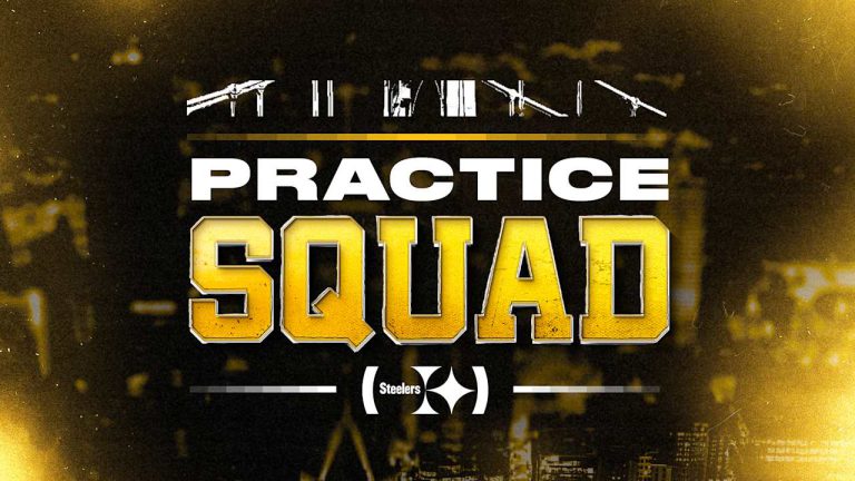 Steelers Add 13 to Practice Squad