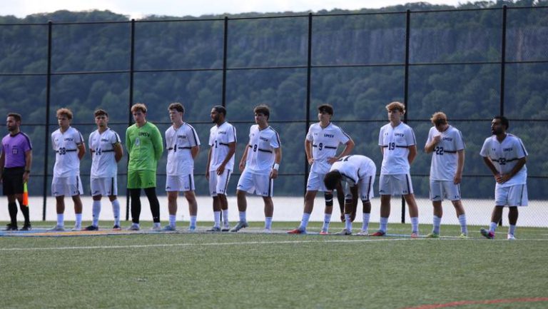 Dolphins' Late Rally Falls Short Against Bard